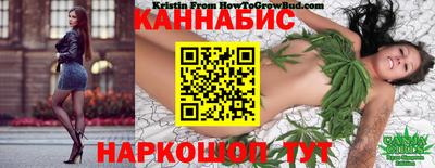 мдпв Тверь